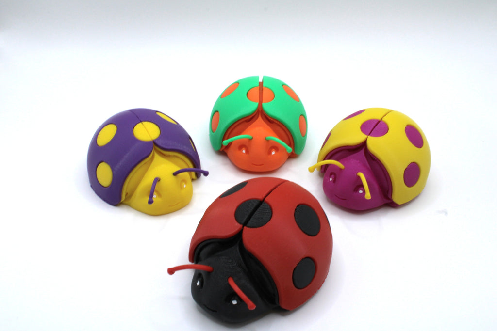 Ladybug - 3D Magic Maker