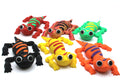 Lizard-A colorful reptile of the tropics! - 3D Magic Maker