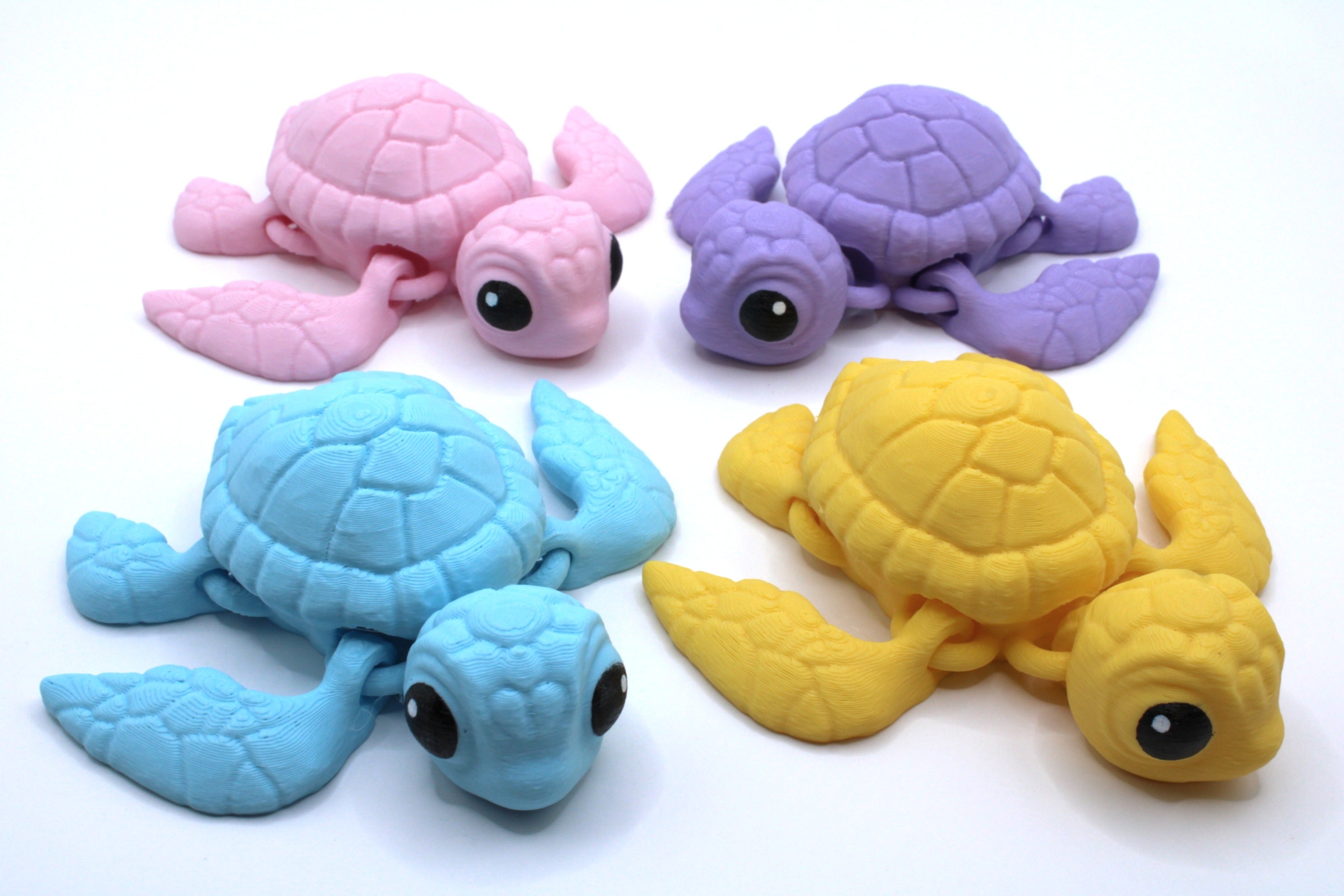 Sea Turtle - 3D Magic Maker
