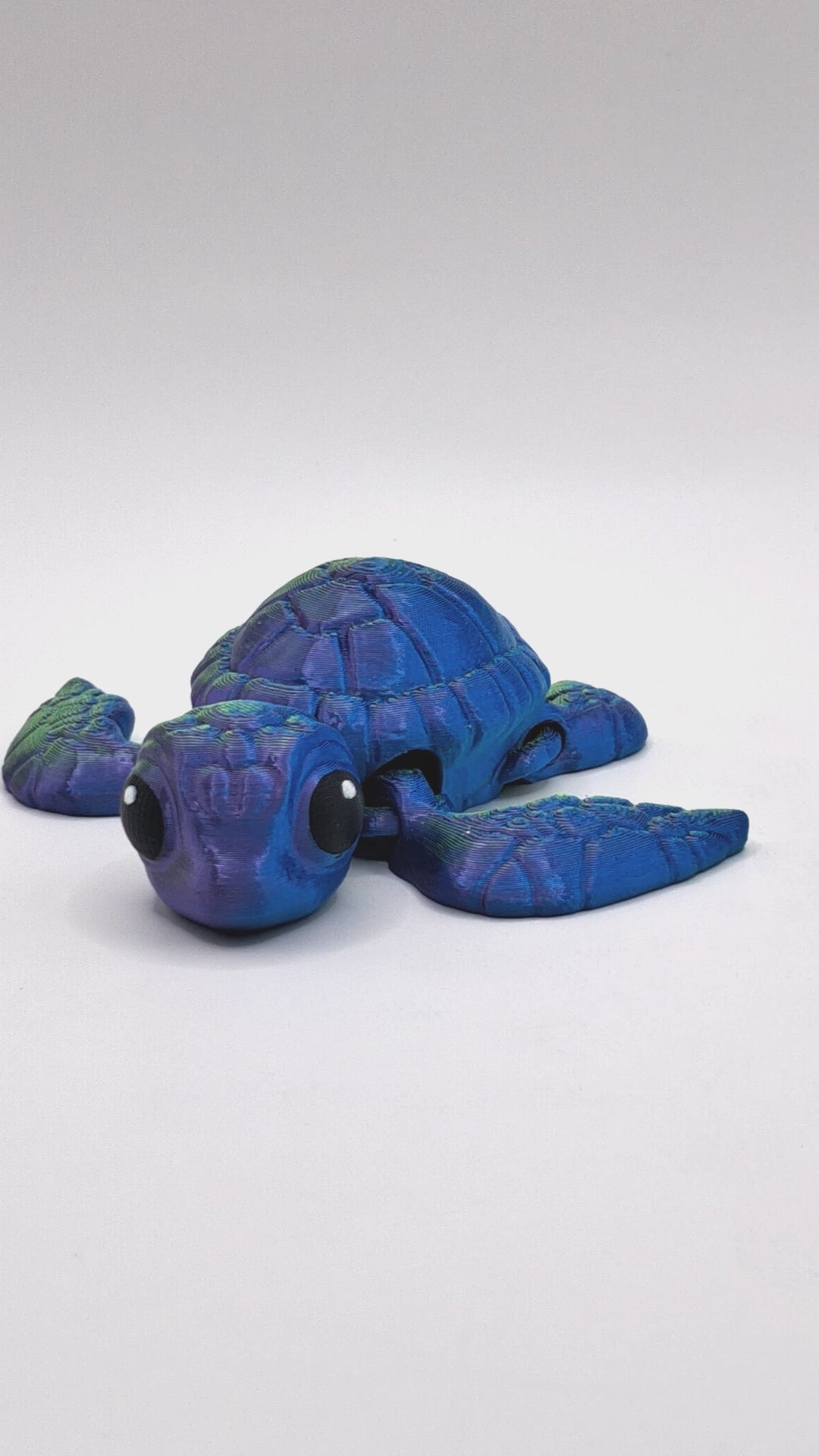 Sea Turtle