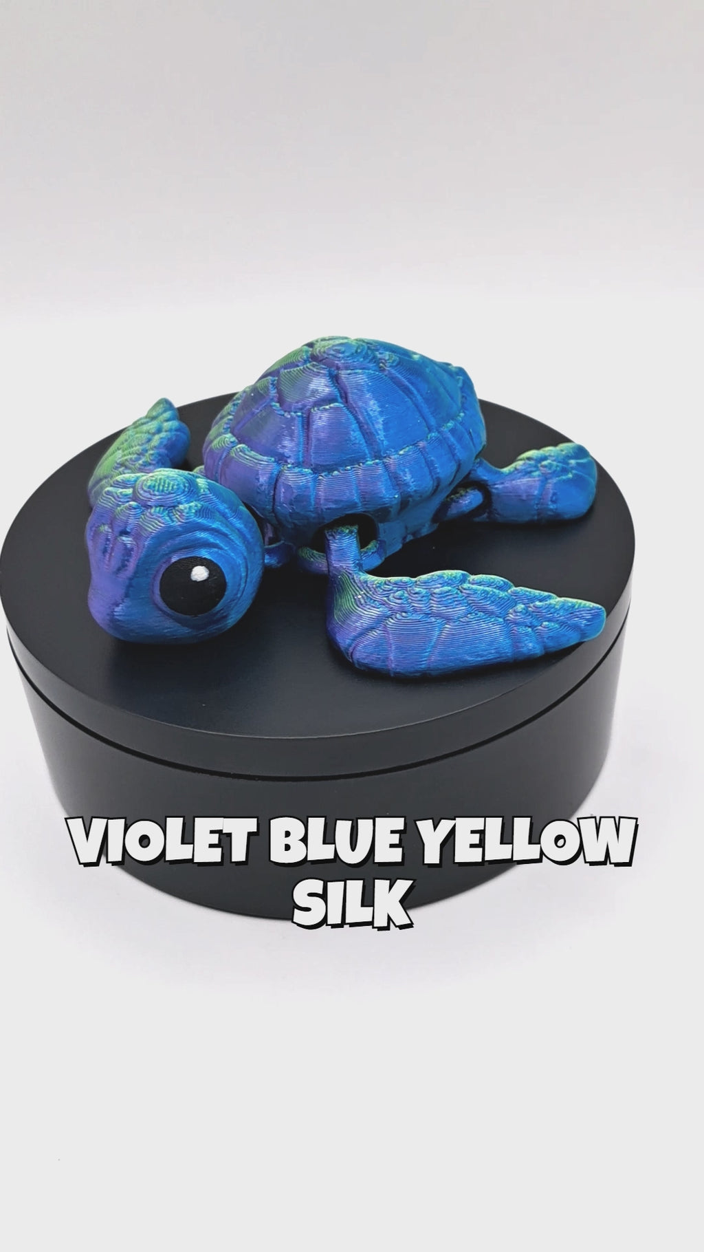 Sea Turtle