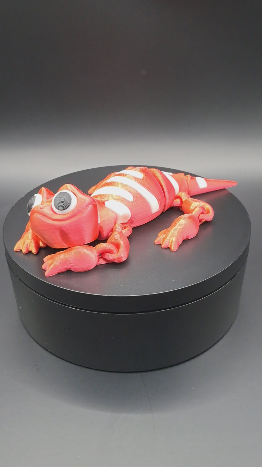 Lizard-A colorful reptile of the tropics!