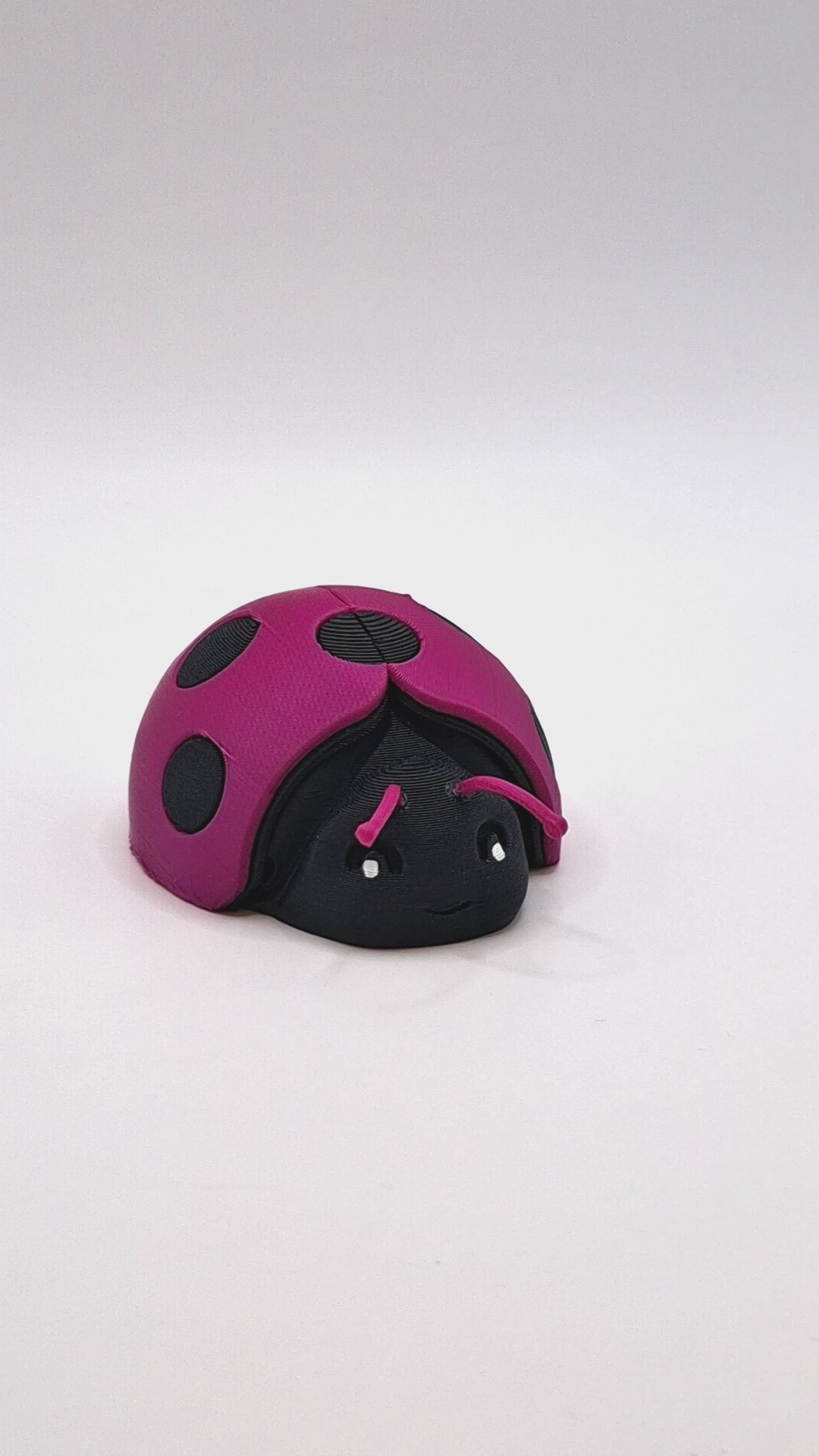 Ladybug