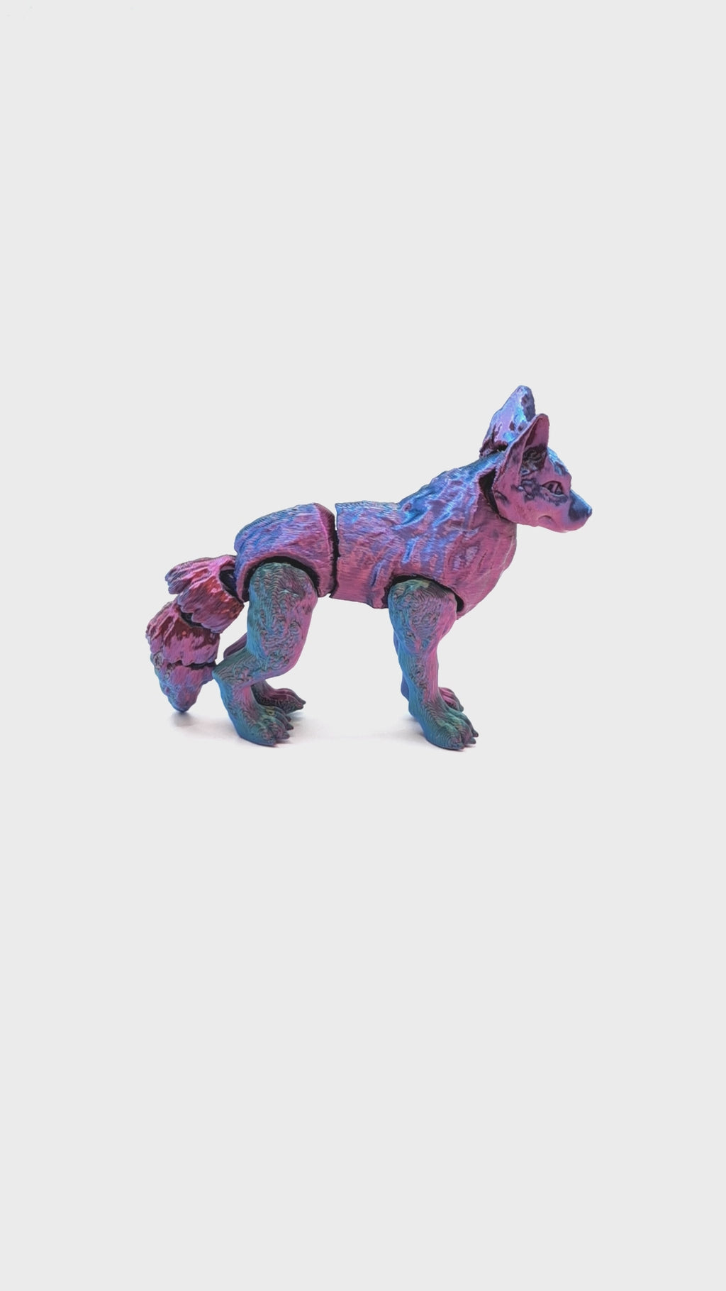 Wolf