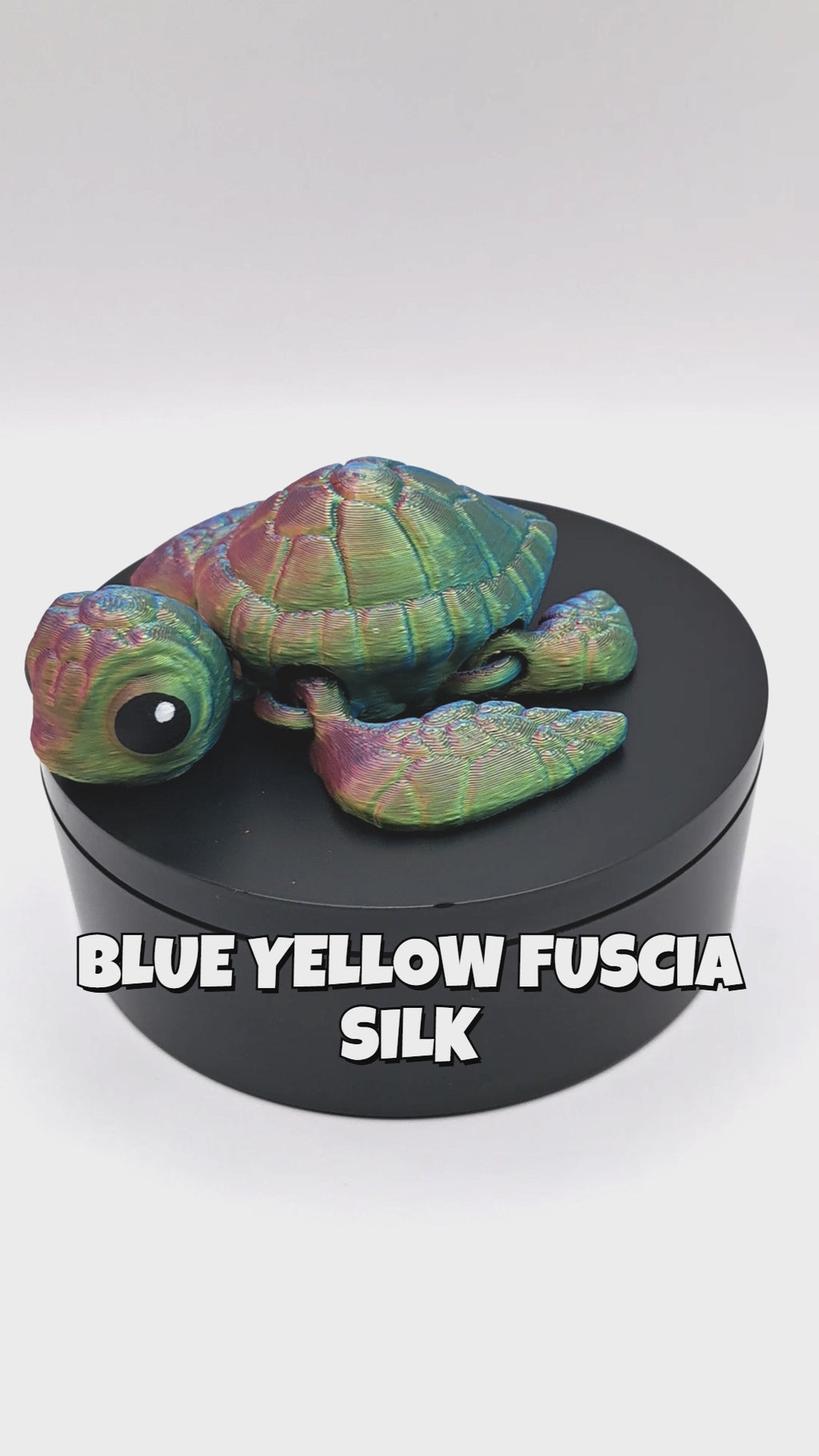 Sea Turtle