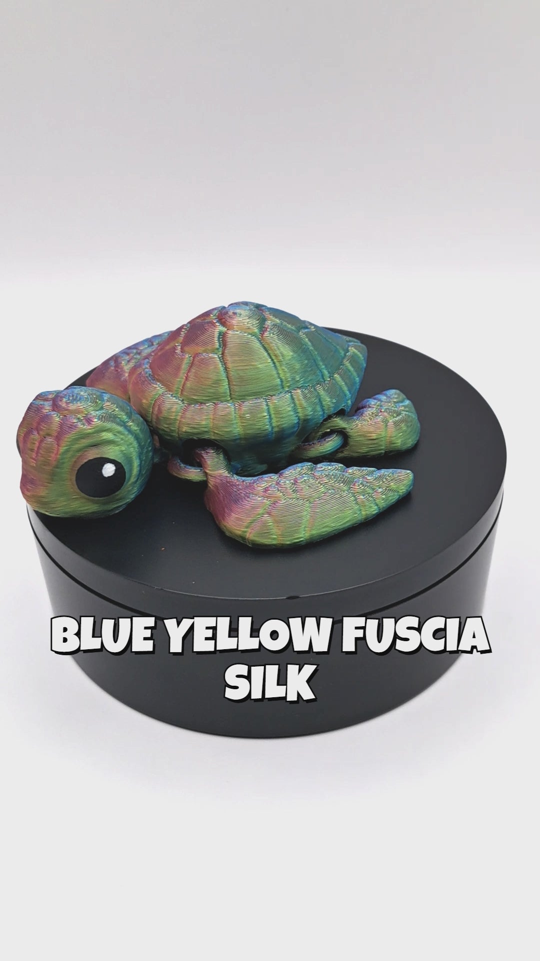Sea Turtle