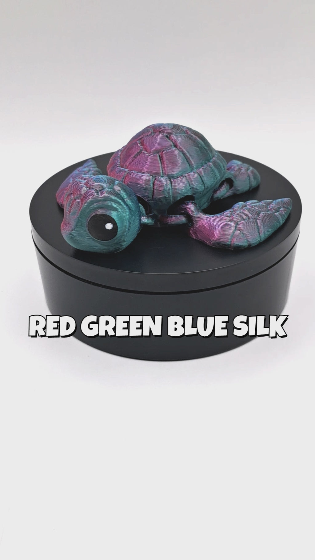 Sea Turtle