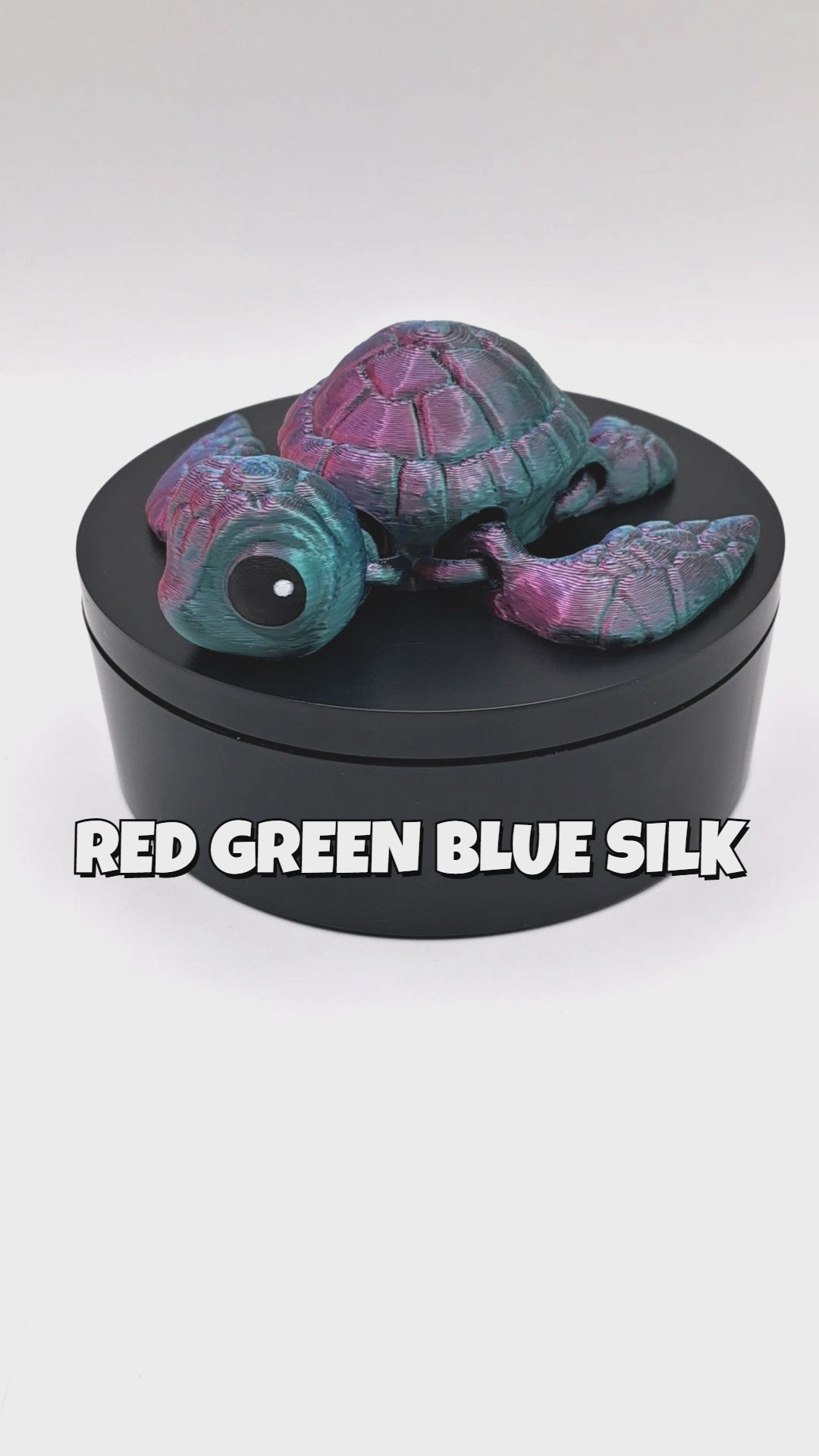 Sea Turtle