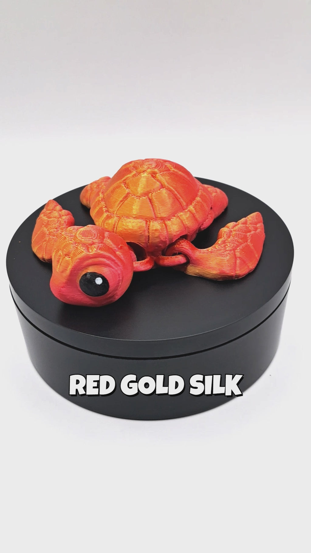 Sea Turtle