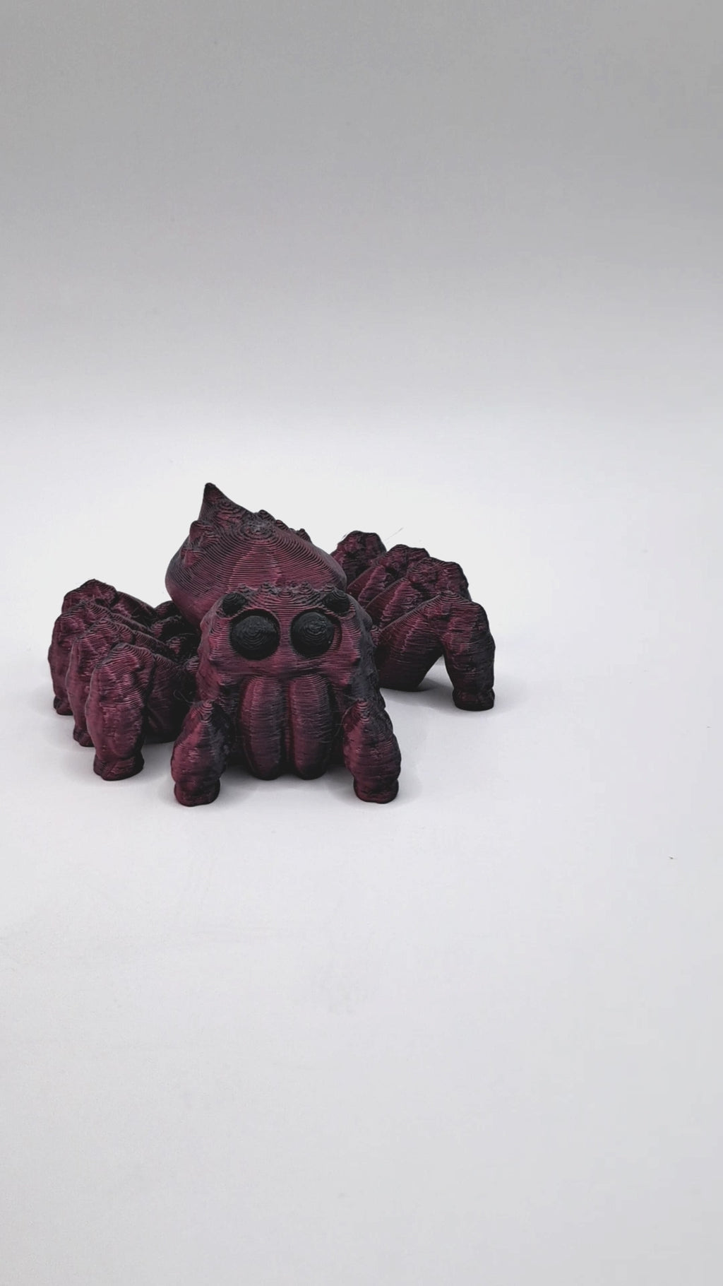 Jumping Spider