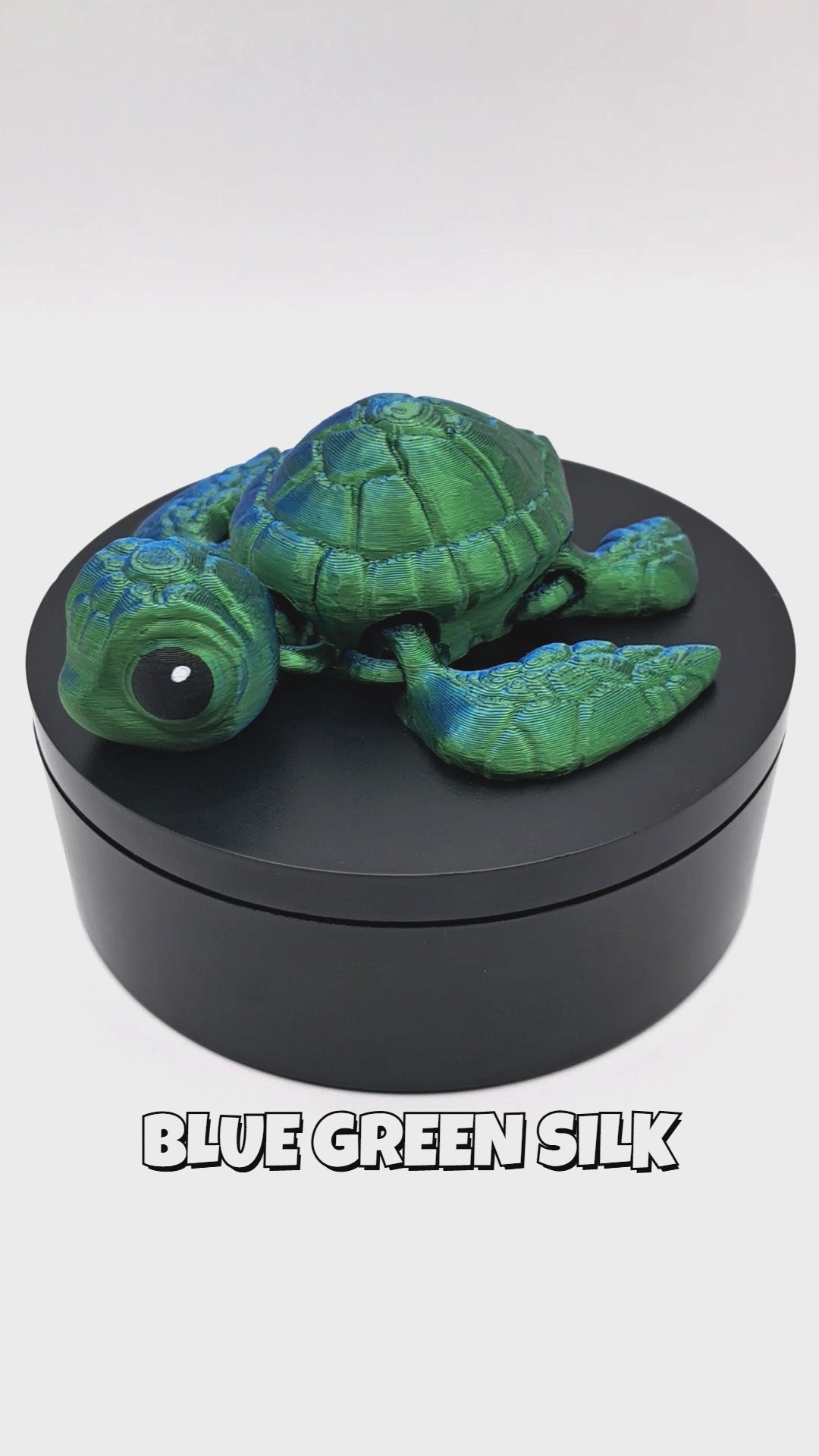 Sea Turtle